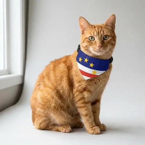 Pet Bandana Collar