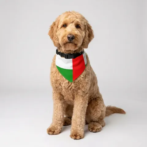 Pet Bandana Collar