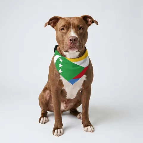 Pet Bandana Collar