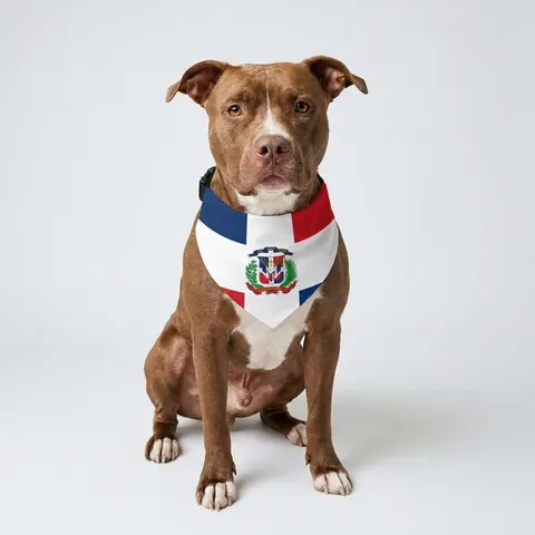 Pet Bandana Collar