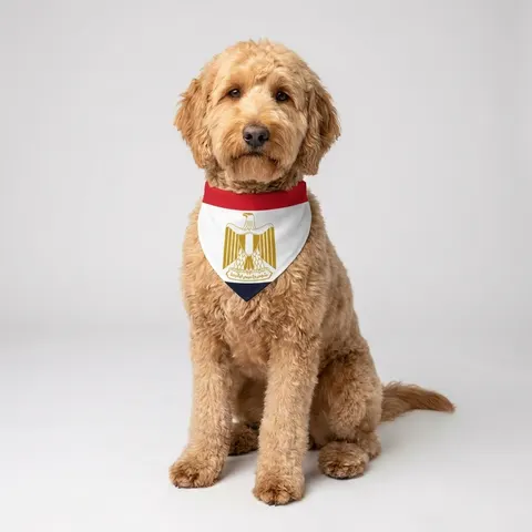 Egypt Red White Black Emblem Pet Bandana Collar