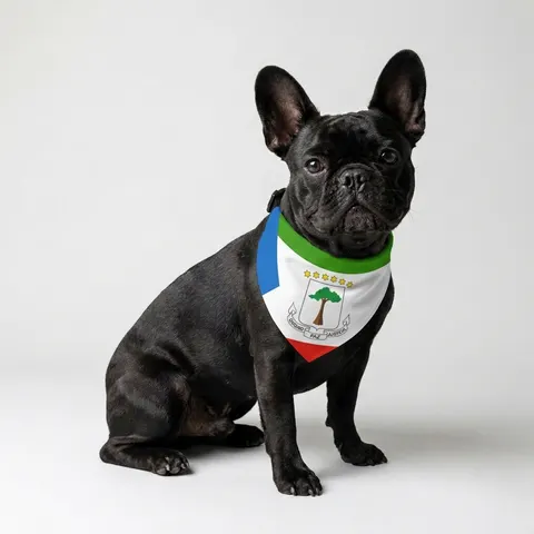 Pet Bandana Collar