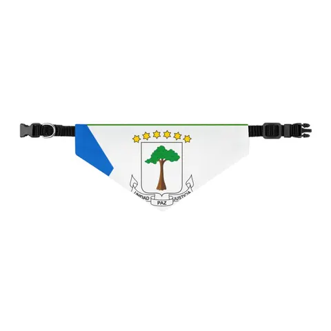 Equatorial Guinea Tricolor & Triangle Pet Bandana Collar — other view