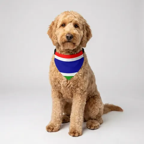 Pet Bandana Collar