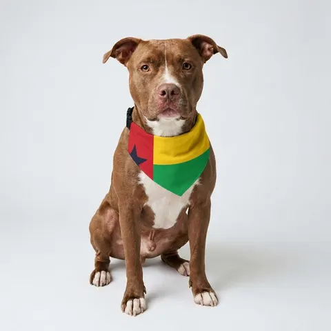 Pet Bandana Collar