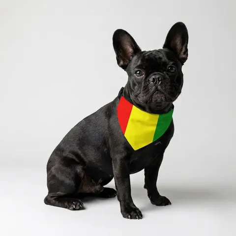 Pet Bandana Collar