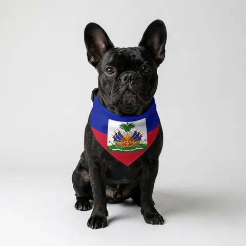 Haiti Blue Red Banner Pet Bandana Collar