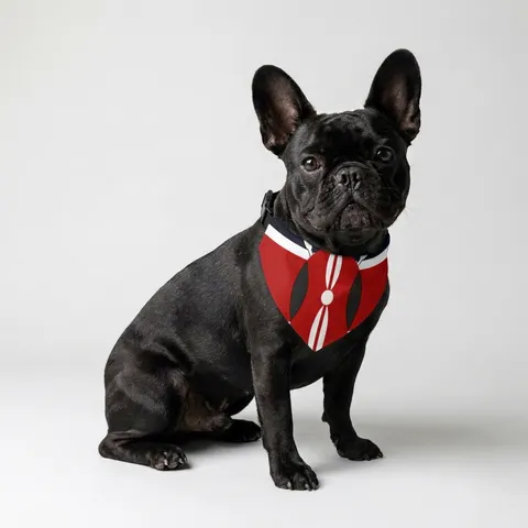 Kenya Black Red Green Stripes Pet Bandana Collar