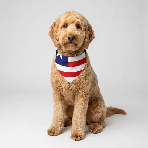 Liberia Stripes & Single Star Pet Bandana Collar