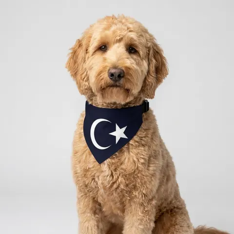 Pet Bandana Collar