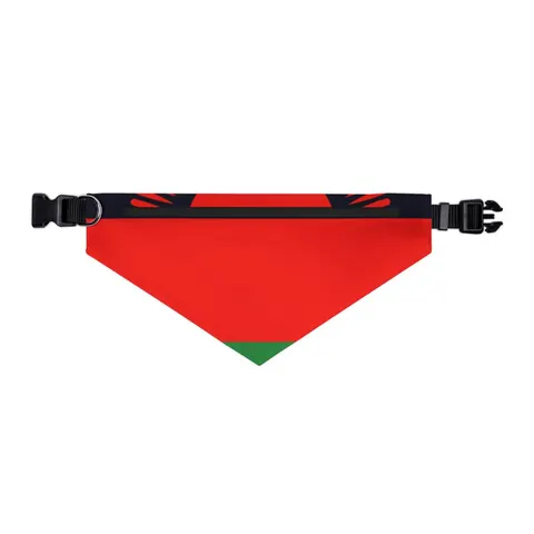 Malawi Rising Sun Pet Bandana Collar — other view