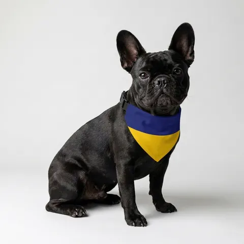 Pet Bandana Collar