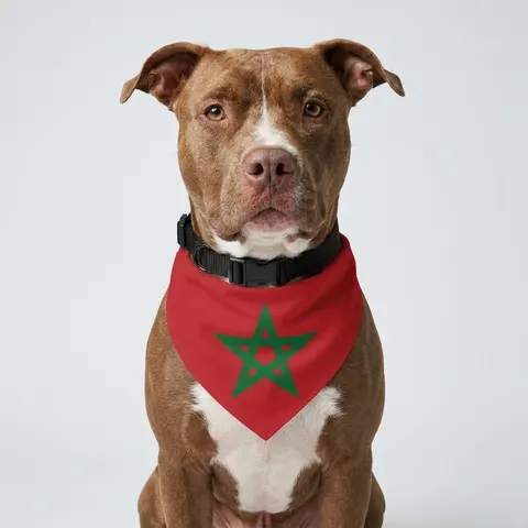 Pet Bandana Collar