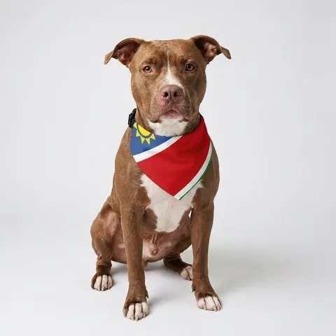 Namibia Diagonal Blue Red Green Pet Bandana Collar