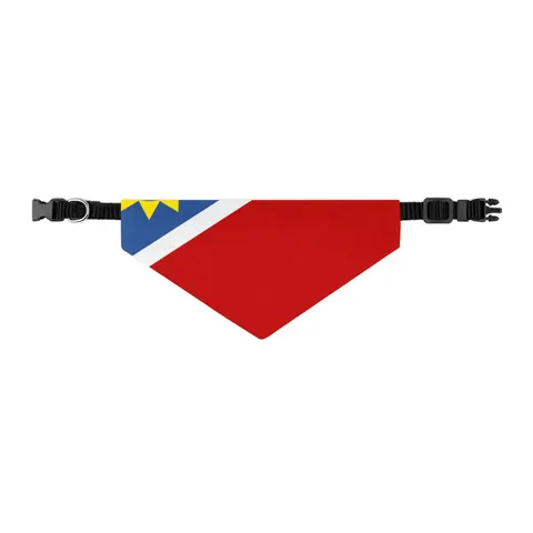 Namibia Diagonal Blue Red Green Pet Bandana Collar — other view