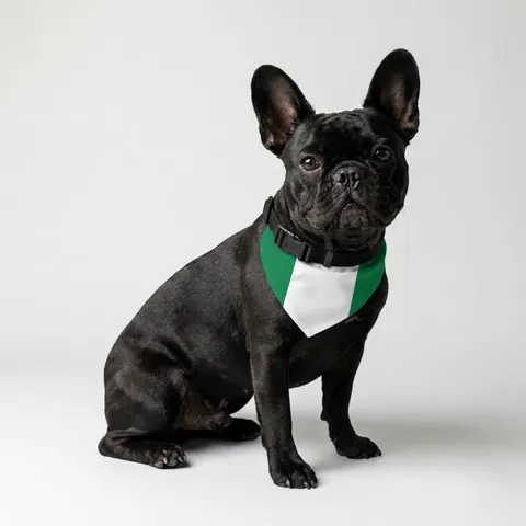 Nigeria Green & White Stripes Pet Bandana Collar