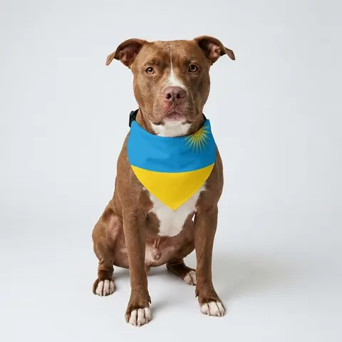 Rwanda Sky Blue & Sun Pet Bandana Collar