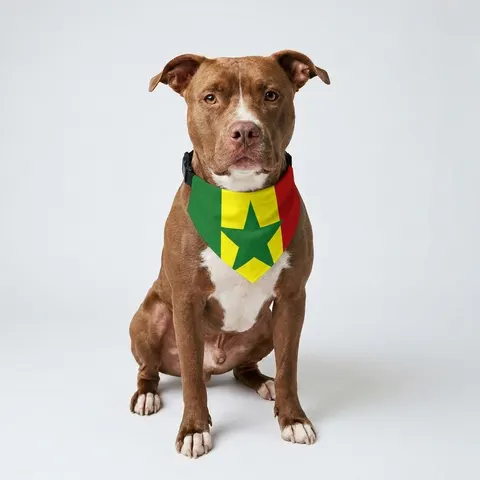 Senegal Green Yellow Red Pet Bandana Collar