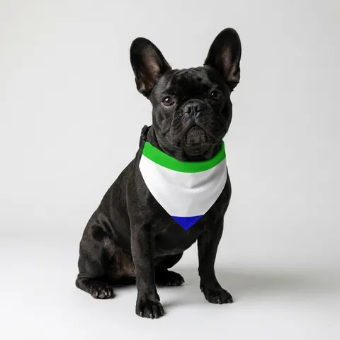 Sierra Leone Green White Blue Pet Bandana Collar