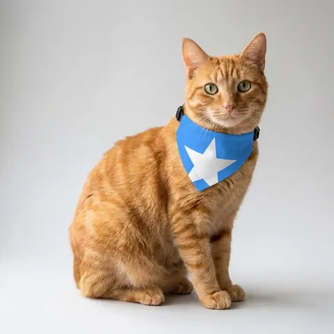 Pet Bandana Collar