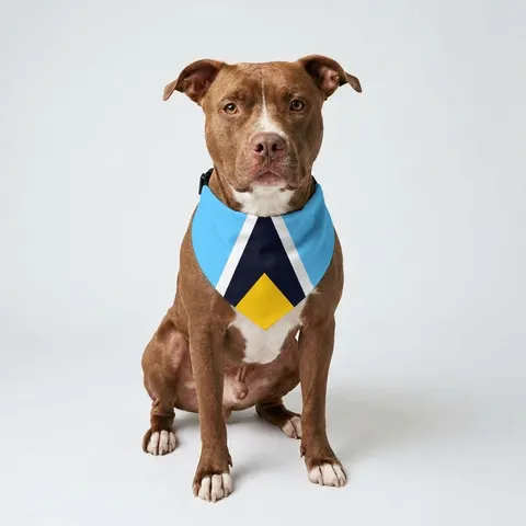 Pet Bandana Collar