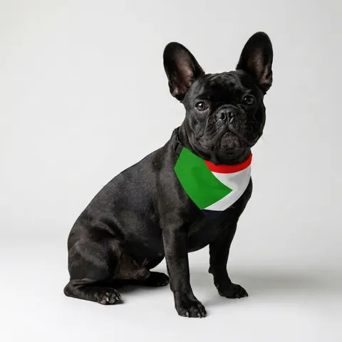 Pet Bandana Collar