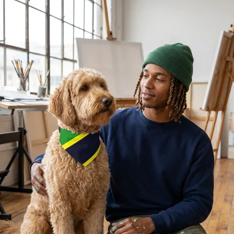 Tanzania Diagonal Bands Pet Bandana Collar