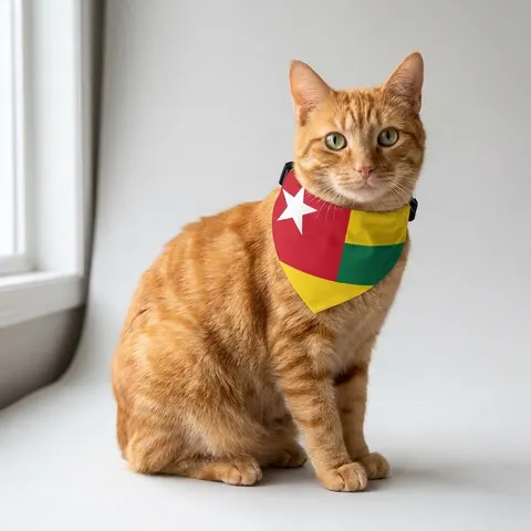 Pet Bandana Collar