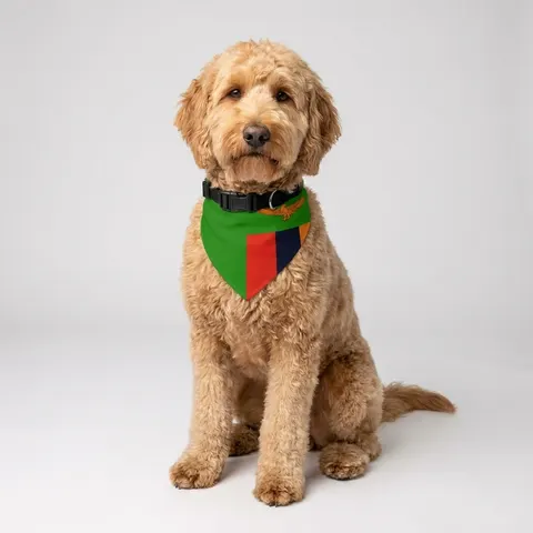 Pet Bandana Collar