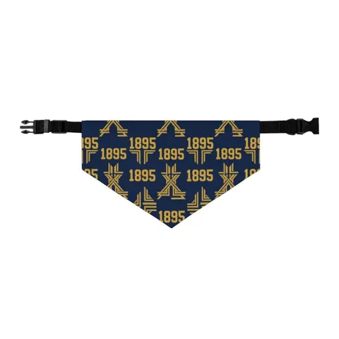 Fort Valley State 1895 Blue & Gold Pet Bandana Collar — other view