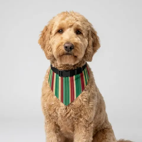 Holiday Gift Wrap Stripes Pet Bandana Collar
