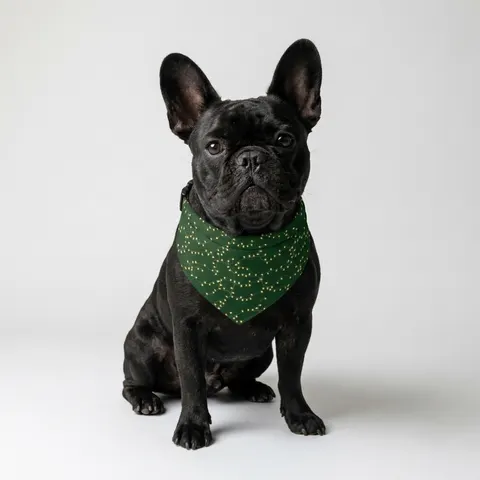 Holiday String Lights on Green Pet Bandana Collar