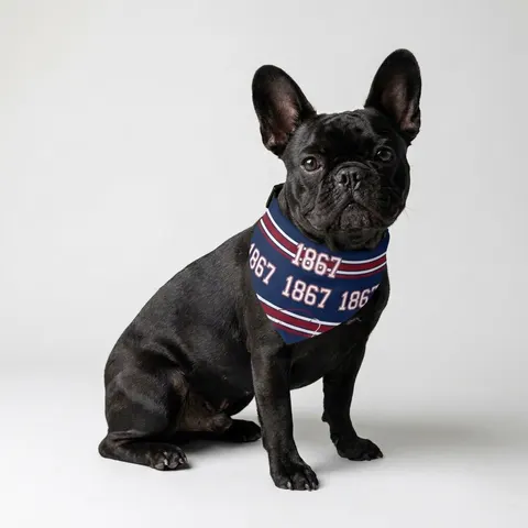 Howard 1867 Navy & Crimson Pet Bandana Collar