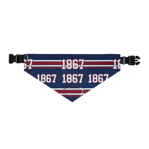 Howard 1867 Navy & Crimson Pet Bandana Collar — other view