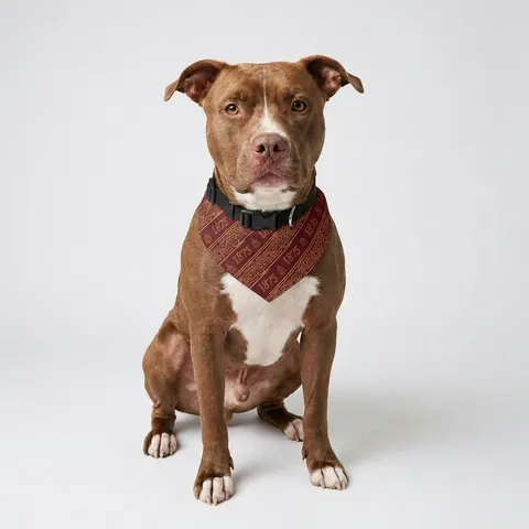 Pet Bandana Collar
