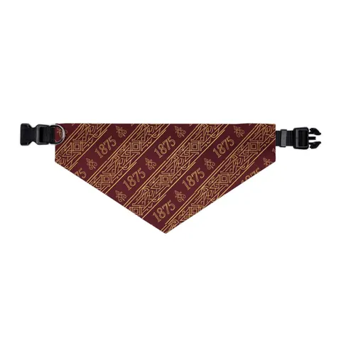 Huston-Tillotson 1875 Maroon & Gold Pet Bandana Collar — other view