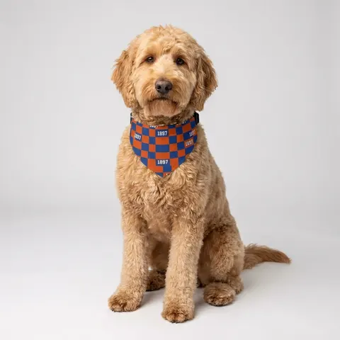 Langston 1897 Orange & Blue Pet Bandana Collar