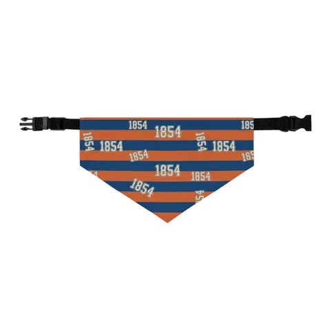 Lincoln (PA) 1854 Blue & Orange Pet Bandana Collar — other view