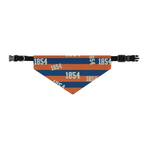 Lincoln (PA) 1854 Blue & Orange Pet Bandana Collar — other view