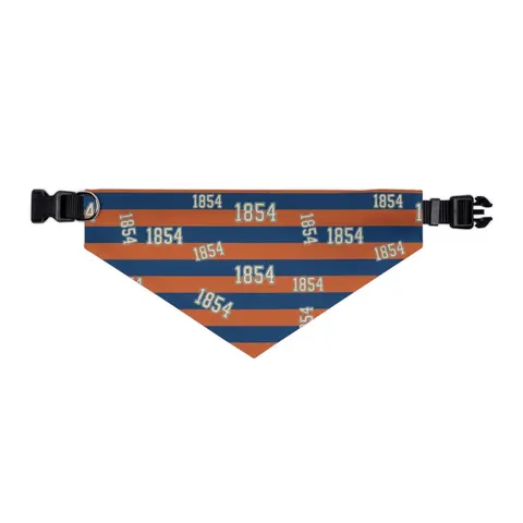 Lincoln (PA) 1854 Blue & Orange Pet Bandana Collar — other view