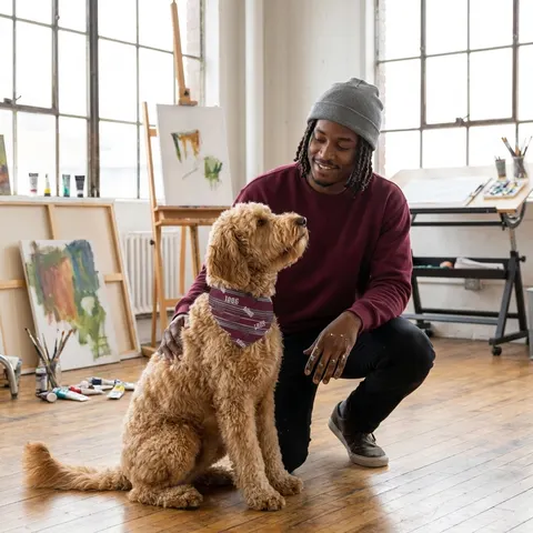 Pet Bandana Collar