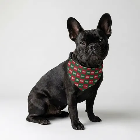Pet Bandana Collar
