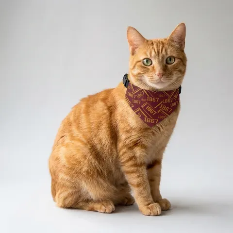 Morehouse 1867 Maroon & Gold Classic Pet Bandana Collar