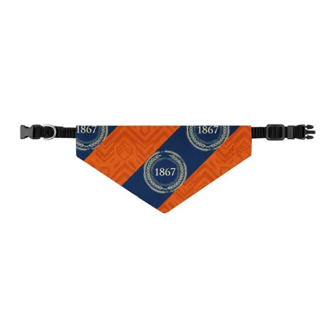 Morgan State 1867 Orange & Royal Pet Bandana Collar — other view