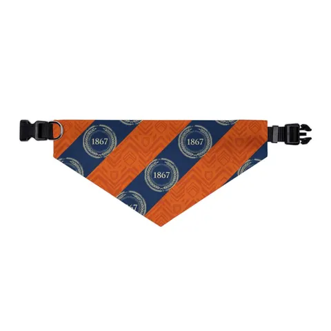 Morgan State 1867 Orange & Royal Pet Bandana Collar — other view