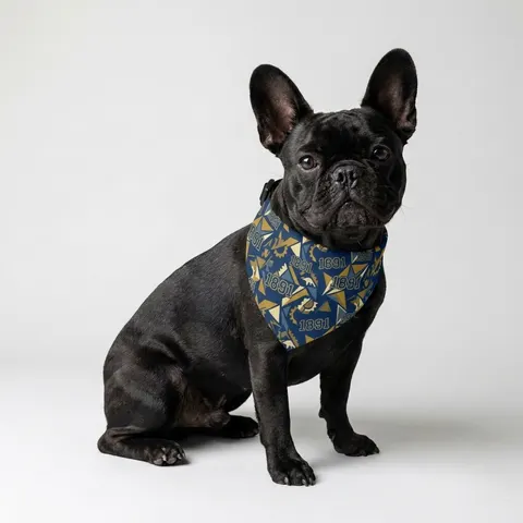 NC A&T 1891 Blue & Gold Tech Pattern Pet Bandana Collar