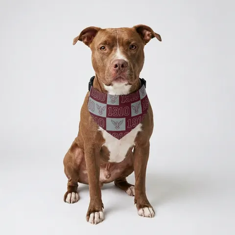Pet Bandana Collar