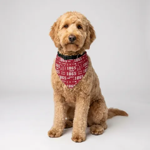 Pet Bandana Collar