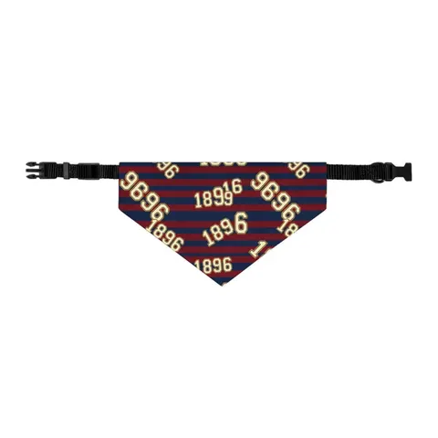 SC State 1896 Garnet & Blue Pet Bandana Collar — other view