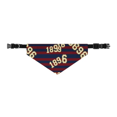 SC State 1896 Garnet & Blue Pet Bandana Collar — other view